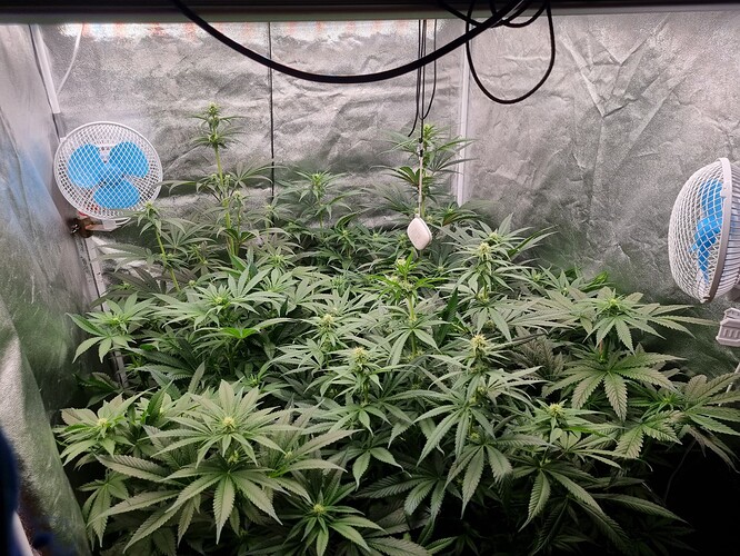 Growreport Bild 12