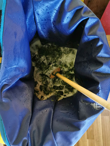 Growreport Bild 12