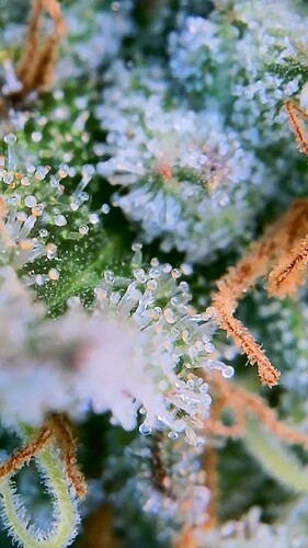 Growreport Bild 22