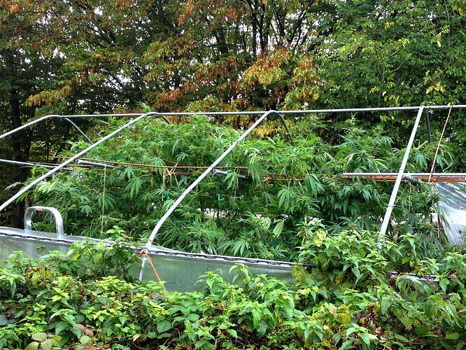 Growreport Bild 3