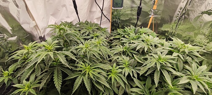 Growreport Bild 8