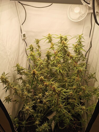 Growreport Bild 11