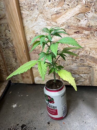Growreport Bild 6