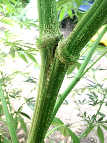 Growreport Bild 21