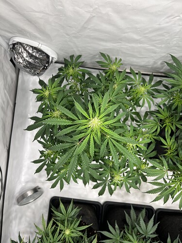 Growreport Bild 14