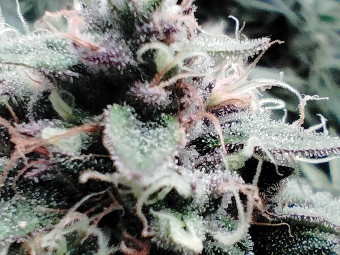 Growreport Bild 23