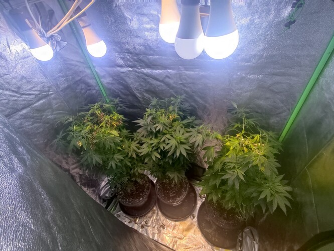 Growreport Bild 12