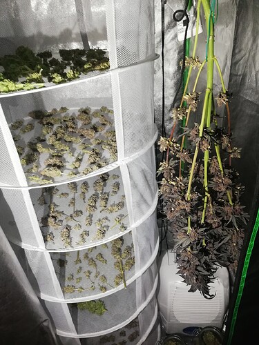 Growreport Bild 1