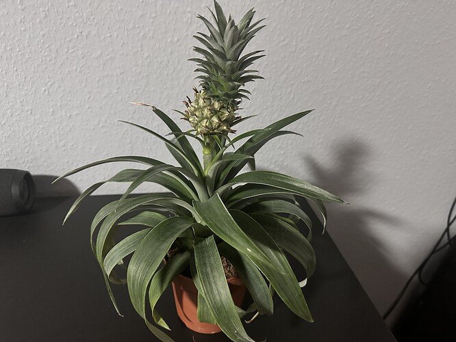Growreport Bild 13