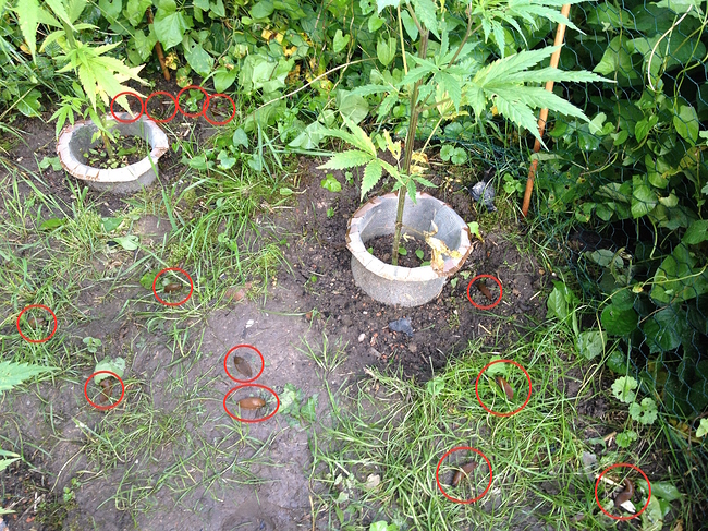 Growreport Bild 12