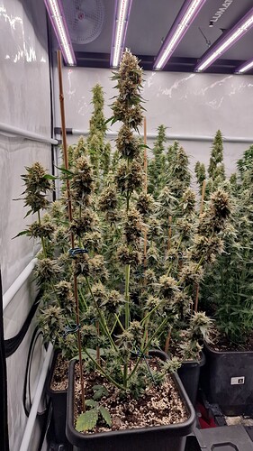 threema-20220918-214735887