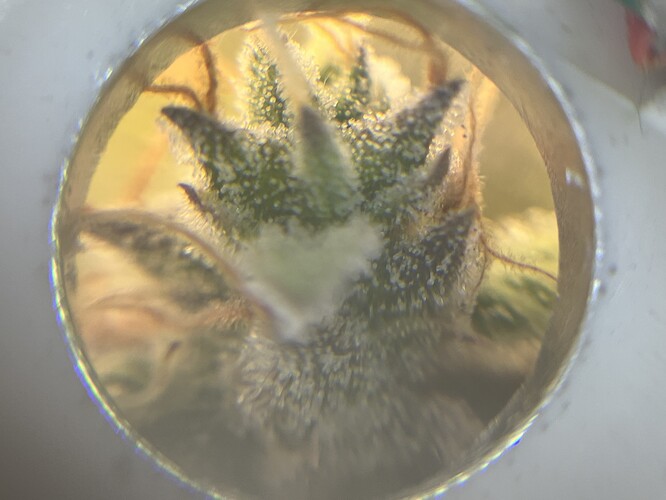 Growreport Bild 12