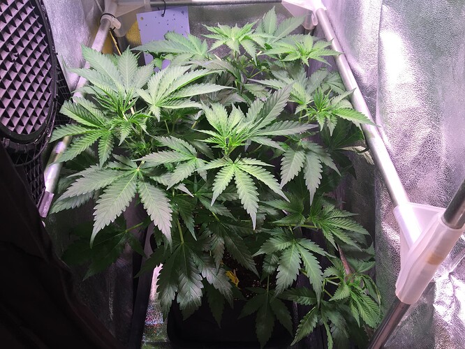 Growreport Bild 13