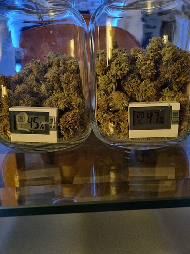 Growreport Bild 9