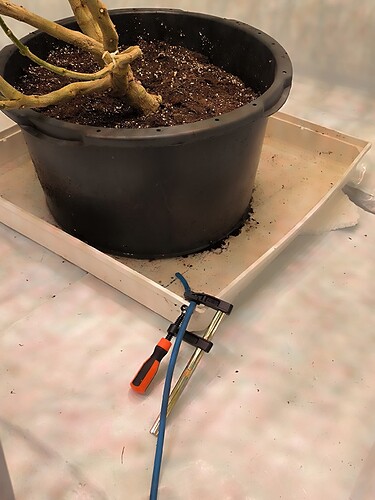 Growreport Bild 5