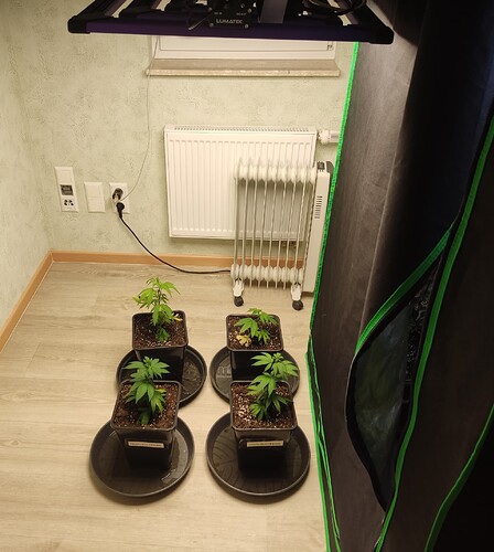 Growreport Bild 21