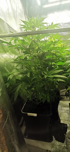 Growreport Bild 9