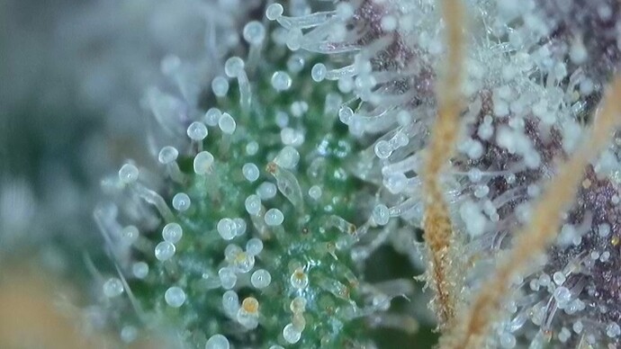 2022-06-25-032635339