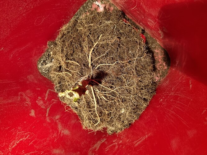 Growreport Bild 18