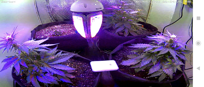 Growreport Bild 2