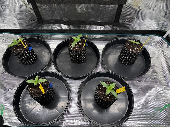 Growreport Bild 17
