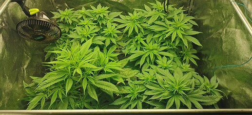 Growreport Bild 22
