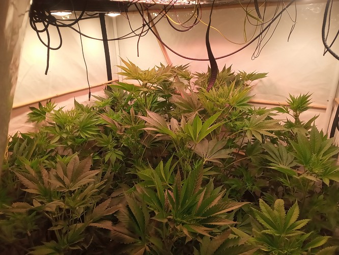 Growreport Bild 24