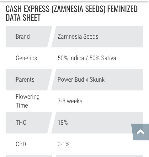 Growreport Bild 15