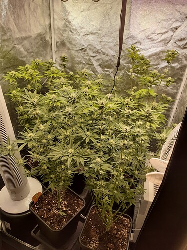 Growreport Bild 2