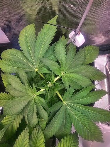 Growreport Bild 14