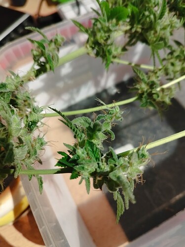 Growreport Bild 10