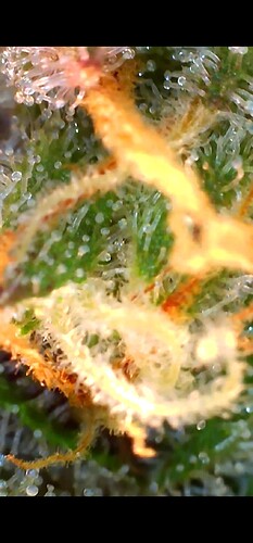 Growreport Bild 26