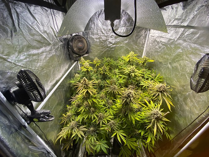 Growreport Bild 8