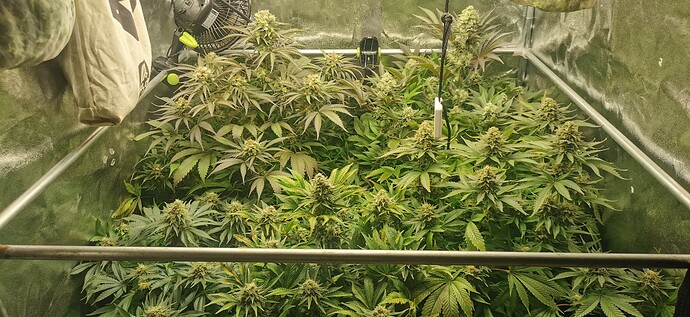 Growreport Bild 1