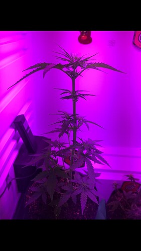 Growreport Bild 8
