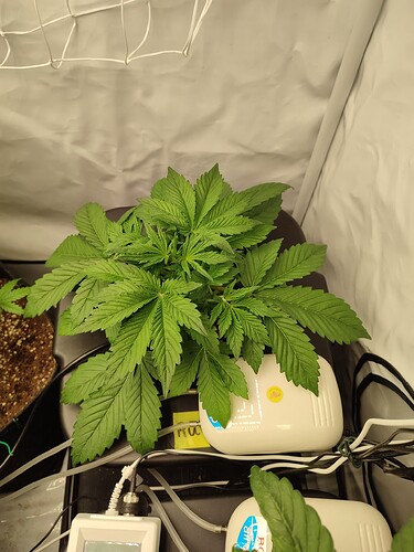 Growreport Bild 24