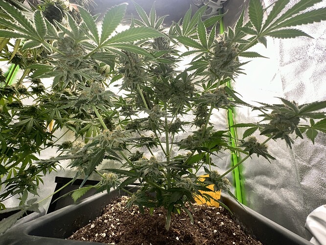 Growreport Bild 12