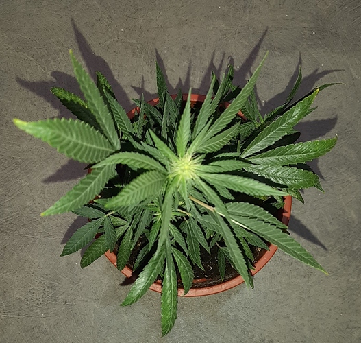 Growreport Bild 8