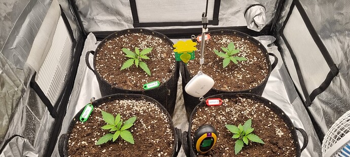 Growreport Bild 23