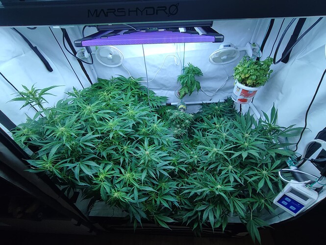 Growreport Bild 29