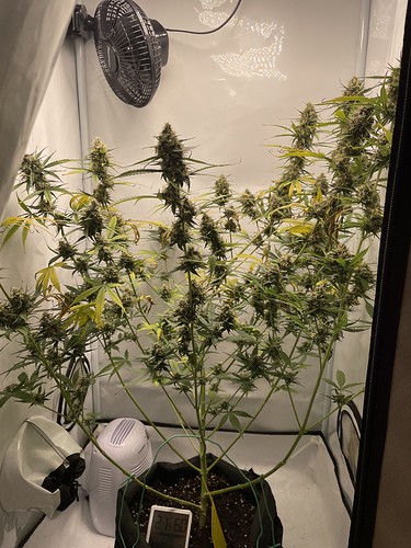 Growreport Bild 8
