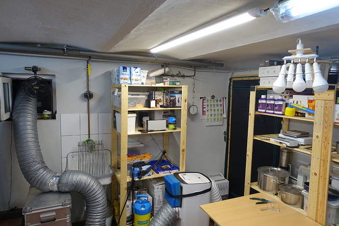 Growreport Bild 15