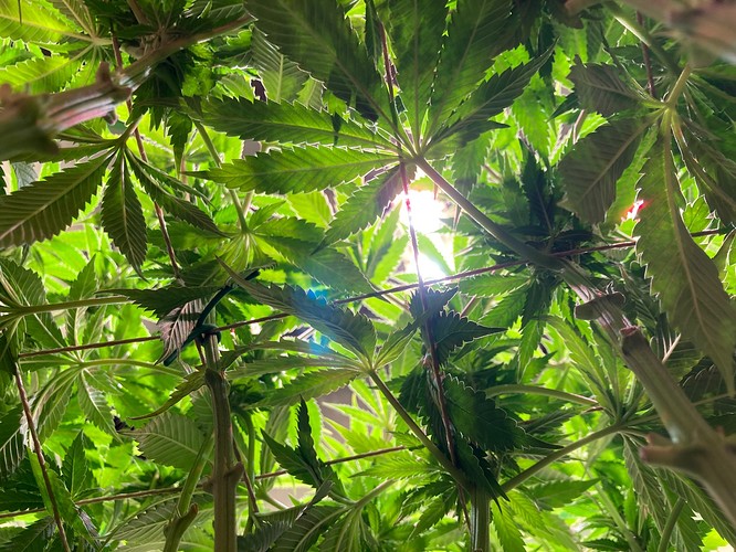 Growreport Bild 10