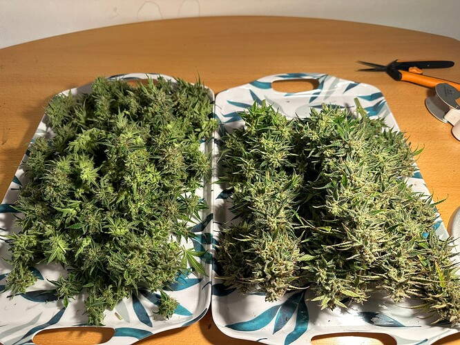 Growreport Bild 16
