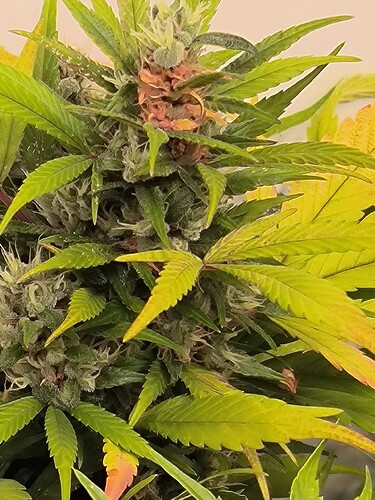 Growreport Bild 15