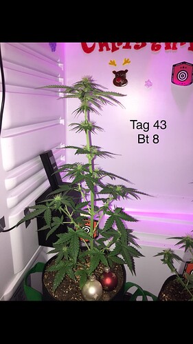 Growreport Bild 6