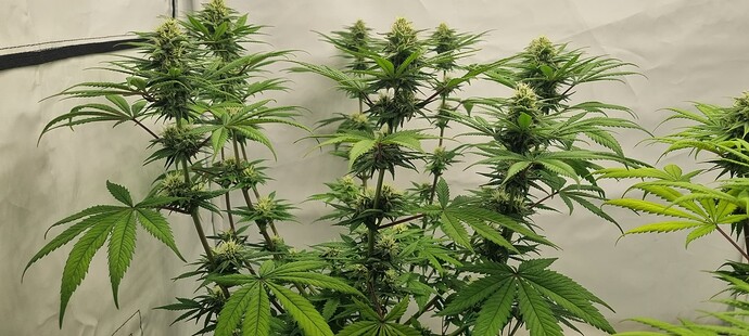 Growreport Bild 12