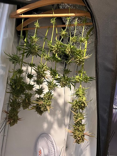 Growreport Bild 57