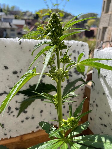 Growreport Bild 30