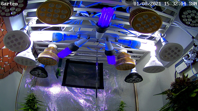 Growreport Bild 9
